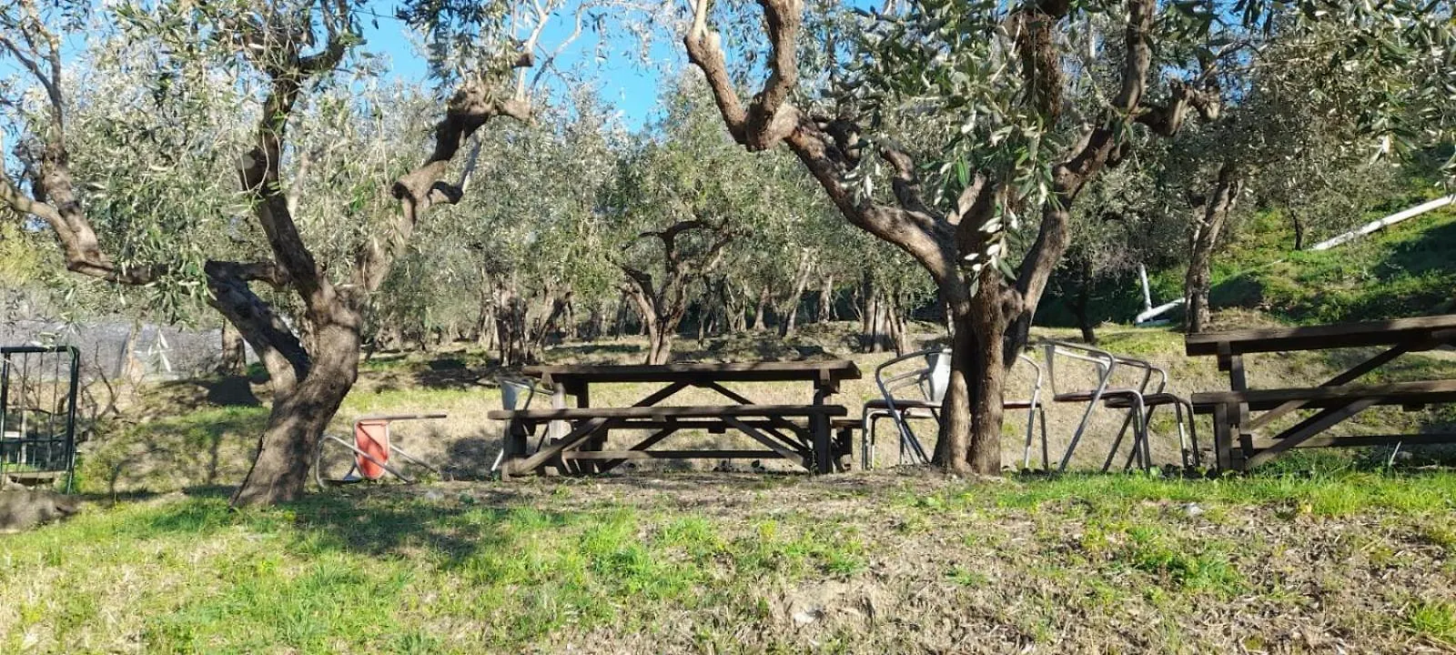 Agriturismo Cele Celle Ligure