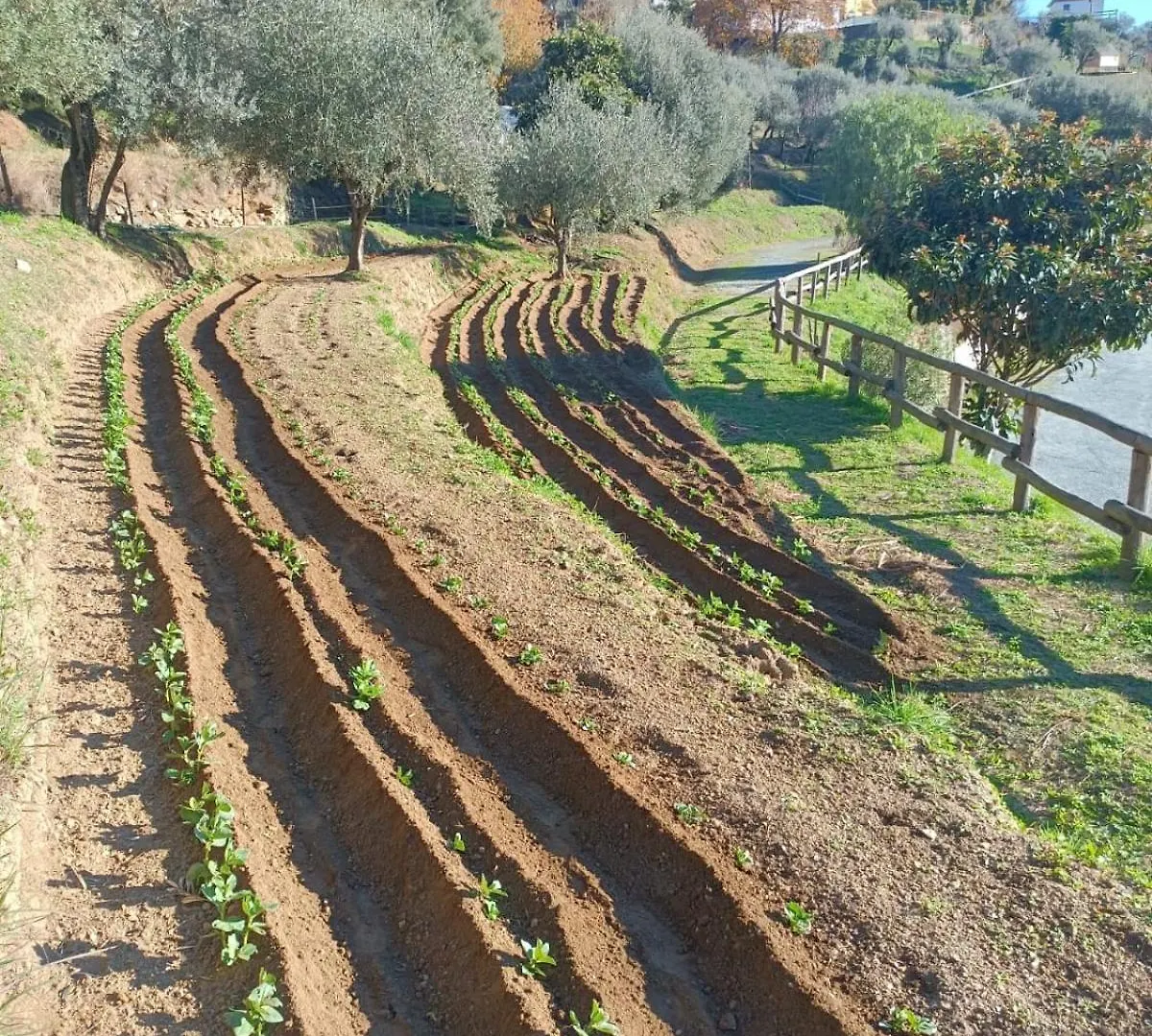 Agriturismo Cele Celle Ligure Alloggio per agriturismo